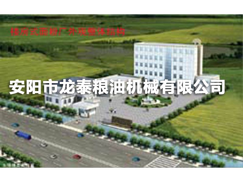 樓房結(jié)構面粉廠展示